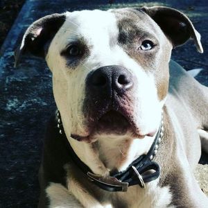 Meet your Posher, Zach